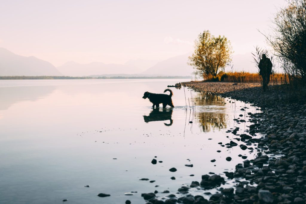 Strand-Camping-Waging-Urlaub-mit-Hund-Chiemsee