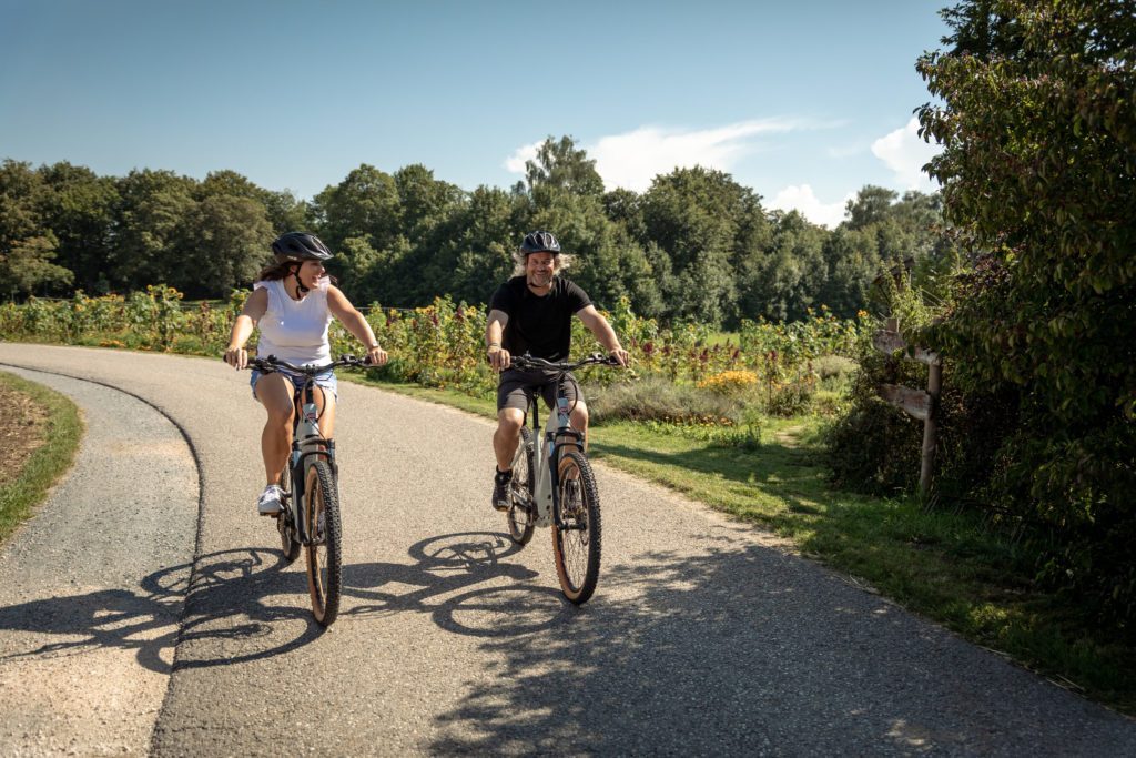 Strand-Camping-Waging-Radlfahren-Fahrradfahren