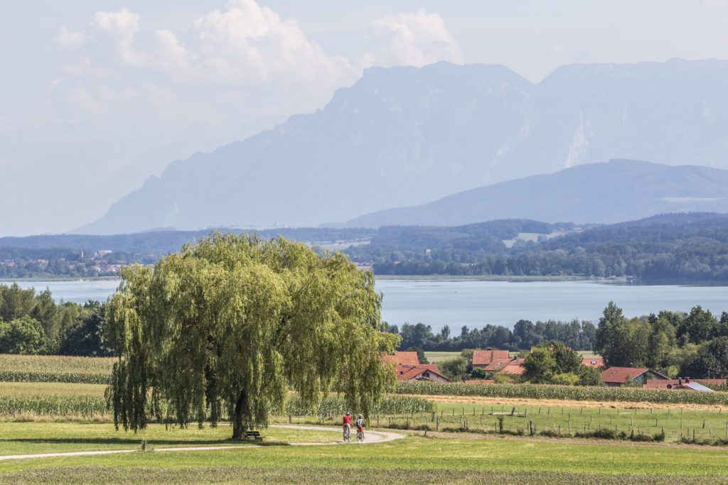 Radeln am Waginger See (c)Chiemgau Tourismus e.V (2)