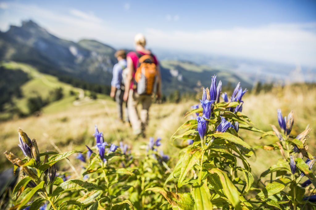 Strand-Camping-Waging-Chiemgauer-Alpen-Wandern